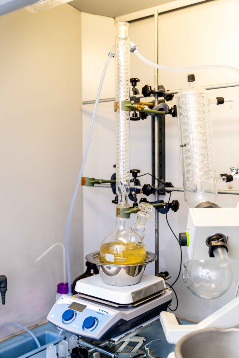 DSC08433 komp 768x1152