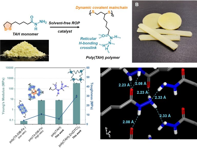 downloaded image 1743084038 1 768x579