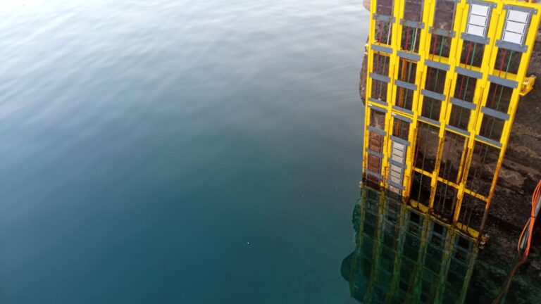 downloaded image 1743085149 1 768x432