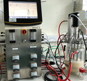 downloaded image 1743096237 1