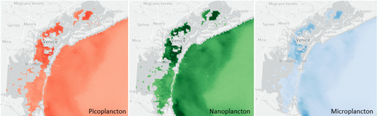 downloaded image 1743097522 1 768x236