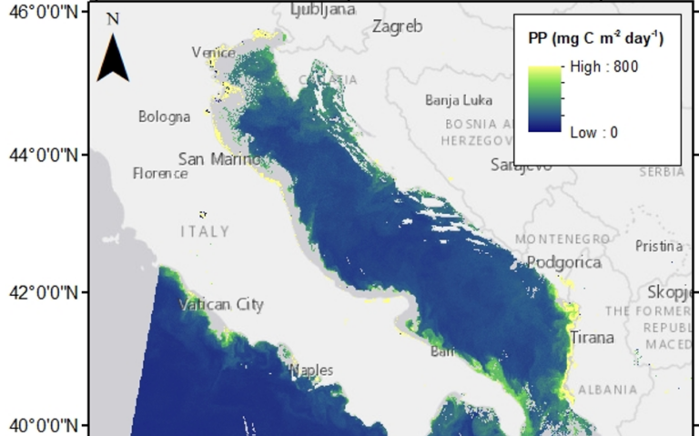 downloaded image 1743097540 1 768x479