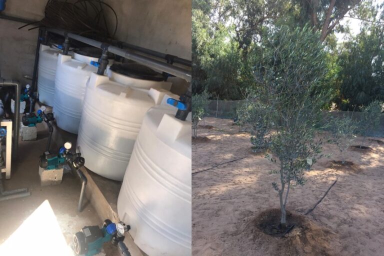 downloaded image 1743430284 1 768x512