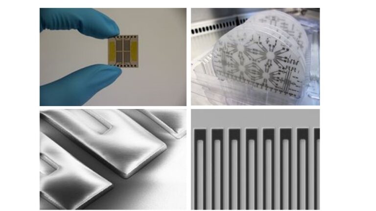 entity 22ba50a2 0e49 4572 905e a3d1438fe2a21 768x432