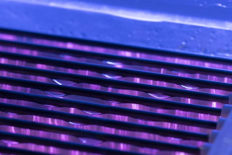 0E2A9097 Auswahl Beschnitt 6 768x512