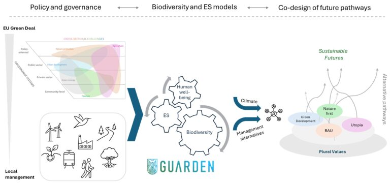 downloaded image 1764683658 1 768x360