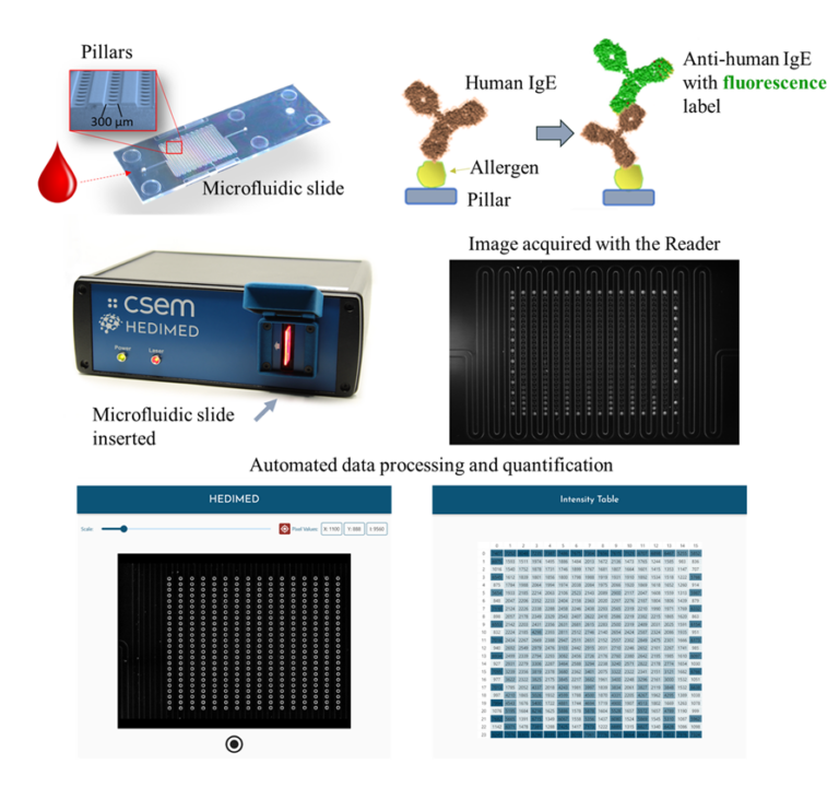 downloaded image 1764945242 1 768x742