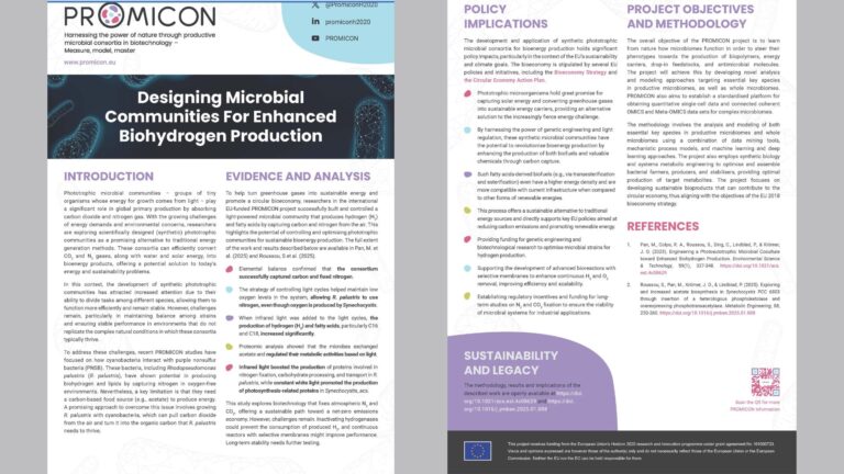 downloaded image 1764950913 1 768x432