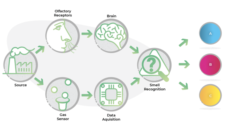 downloaded image 1764962744 scaled 1 768x432