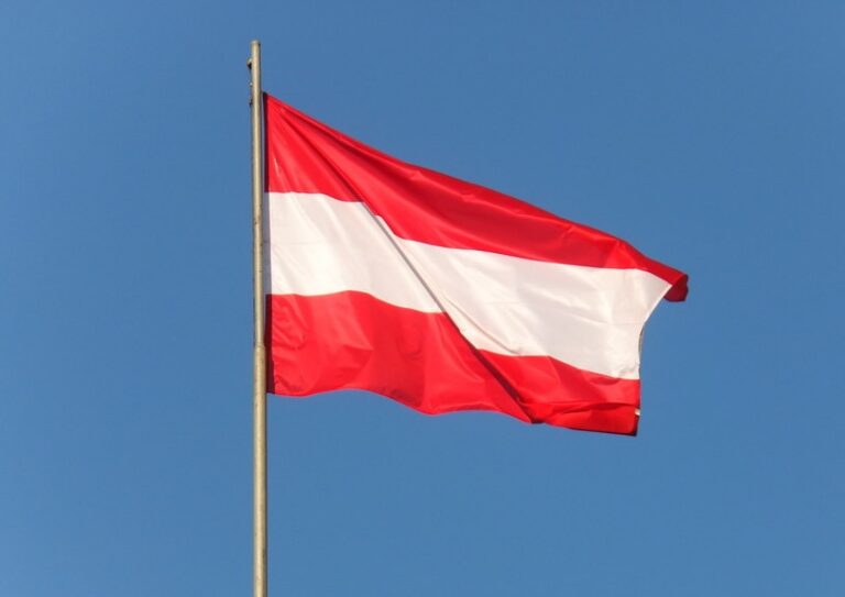 7813572370 fb9a72da76 b 3 768x543